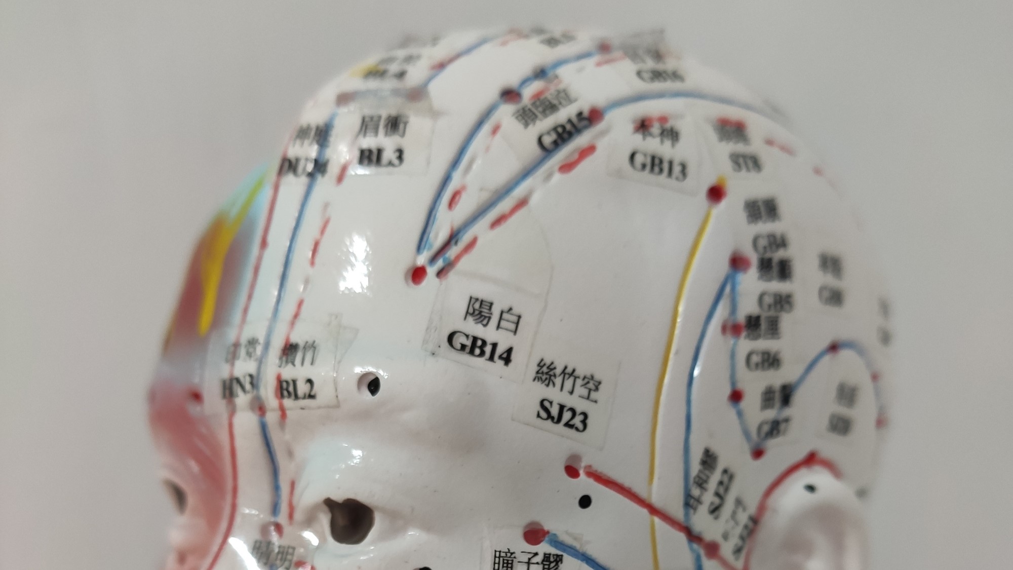 Curso de oftalmología y problemas oculares con acupuntura y fitoterapia